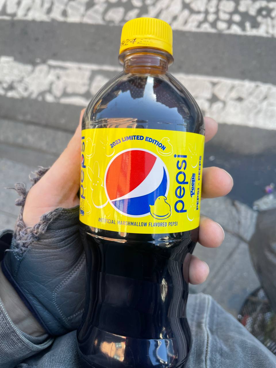 photo_2023-02-24 22.40.30.jpeg